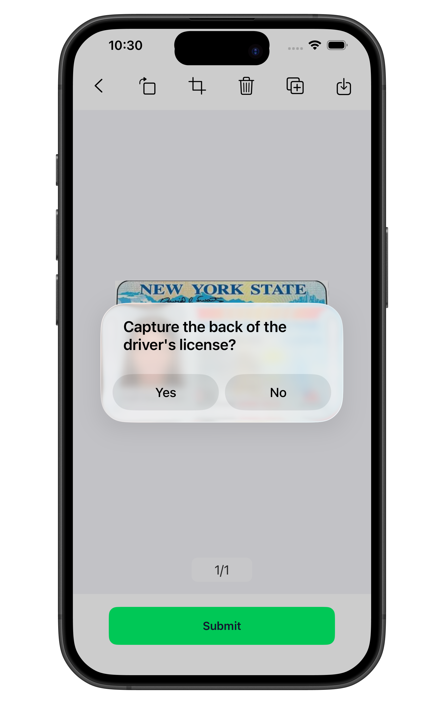 driverLicenseBackIsOn